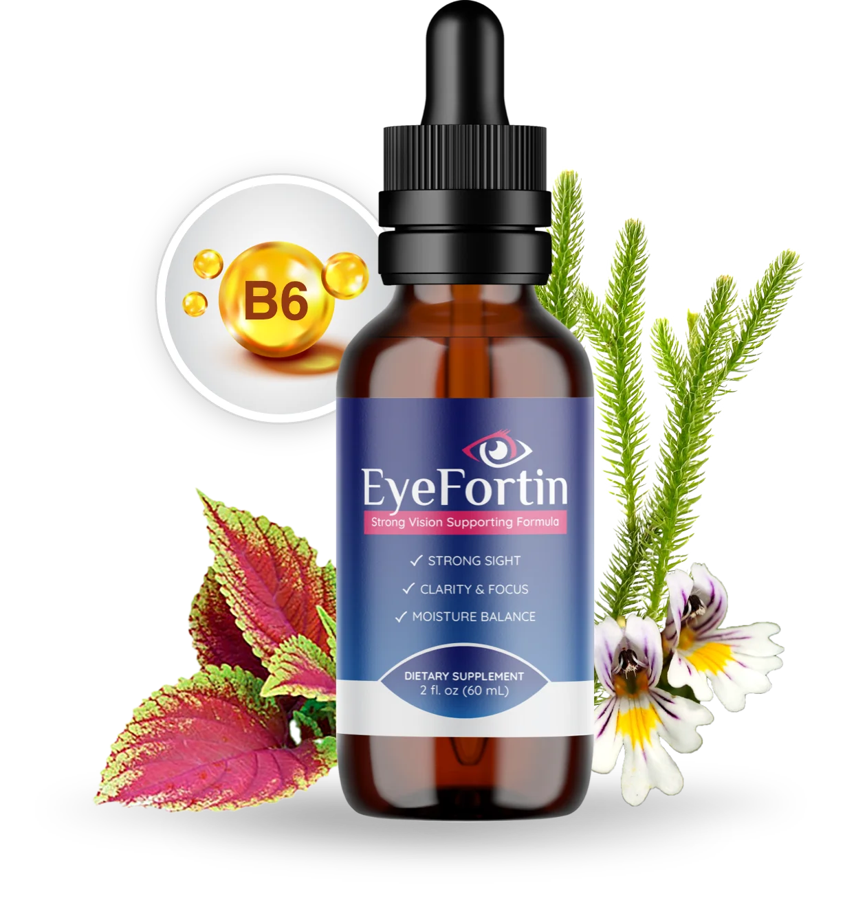 An example of our quality product reviews for EyeFortin